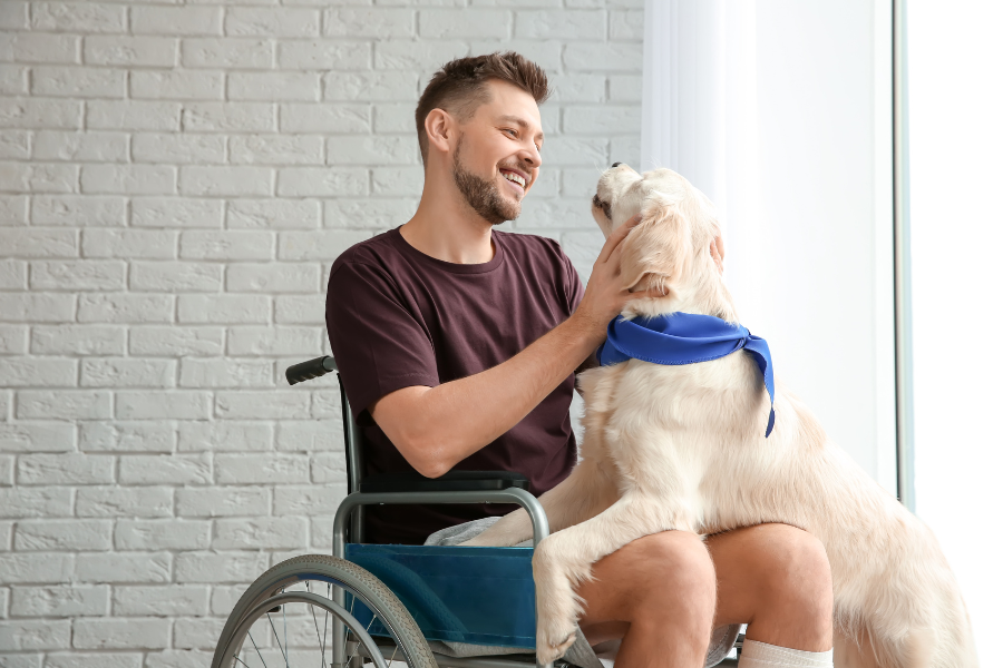 spinal cord injury, wheelchair, paralyzed, man in wheelchair, dog