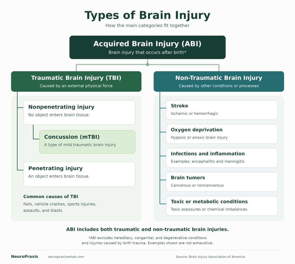 Brain Injury Basices - tree diagram showing classes of brain injury with ABI at the top then divided into traumatic and non-traumatic etc as the blog details.