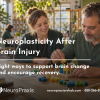 Neuroplasticity