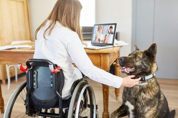 areas of rehabilitation, service dog, spinal cord injury